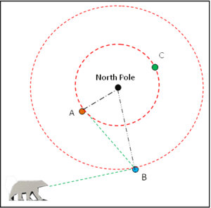 Polar bears near the Pole