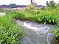 Pump-enabled Riverside Irrigation in Comilla, Bangladesh, 25 April 2014