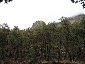 Ramsey canyon (4264159335)