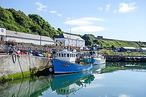 Rathlin Island Northern Ireland 07