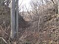 Ravine behind Engineer Cantonment site 1