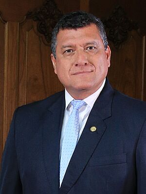 Retrato Oficial de Vicepresidente César Guillermo Castillo Reyes (cropped 2)