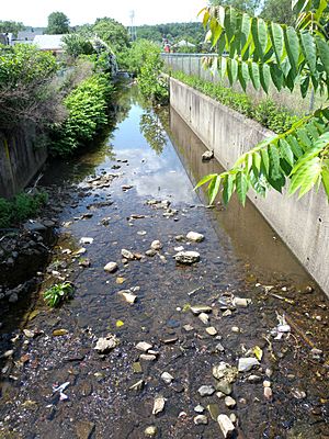 Second River west of High jeh