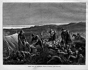Sheep Raid Colorado 1877.jpg