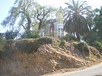 Smith Estate, Highland Park (from base of El Mio)