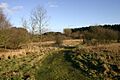 Snipe Dales Nature Reserve and Country Park - geograph.org.uk - 30164