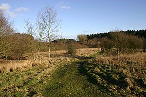 Snipe Dales Nature Reserve and Country Park - geograph.org.uk - 30164