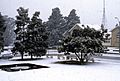 Snow at Council Chambers, July 1987