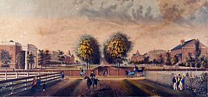 South Carolina College Horseshoe 1850
