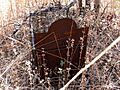 Station Ck - fenced grave (2009)