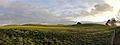 Sutton Hoo burial site
