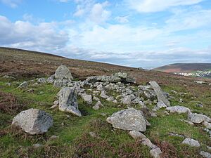 Sweyne's Howe burial chamber - South - geograph.org.uk - 2694326