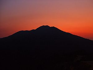 Tamalpais-derangedtaco