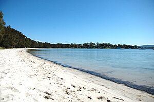 Tanilba Bay main beach area