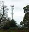 Telecomms Mast, River Hill, Sevenoaks, Kent - geograph.org.uk - 69994.jpg