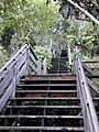 The Filbert Steps 1