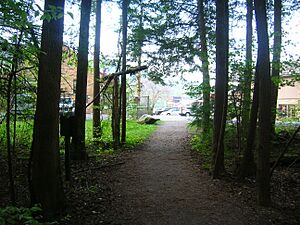 The Gatlinburg Trail Running Into the Town