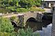 The old Leckwith road bridge crossing the River Ely - Cardiff - geograph.org.uk - 1393595.jpg