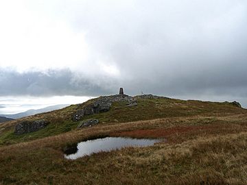The summit of Beinn Ruadh. - geograph.org.uk - 253806.jpg