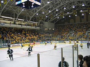 Univ Michigan ice hockey