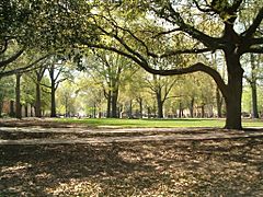 Usc horseshoe