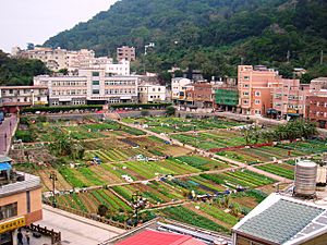 Vegetable Farming Park, Nangan, Matsu, Taiwan