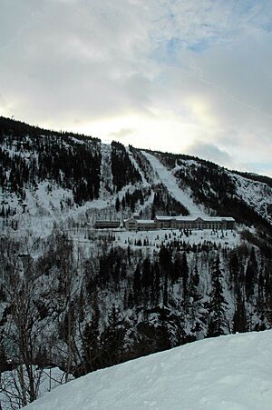 Vemork 2008-02-08