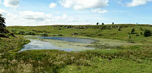 Walls Loch from the north, East Renfrewshire, Scotland