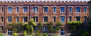 Walnut Tree Court, Queens' College, Cambridge