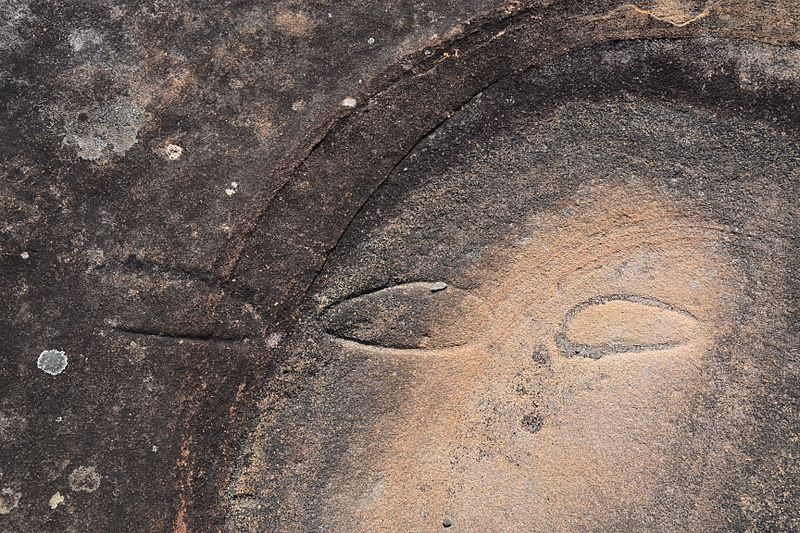 (1)rock carvings Bondi-6