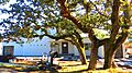2753 Somass Drive