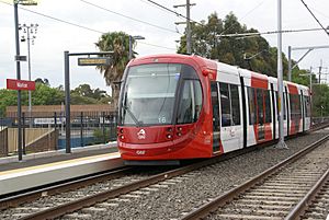 Inner West Light Rail Facts For Kids