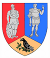 Coat of arms of Hunedoara