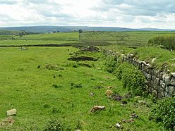 Aesica (Great Chesters) Roman Fort - geograph.org.uk - 46710.jpg