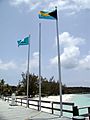 Bahamas flag