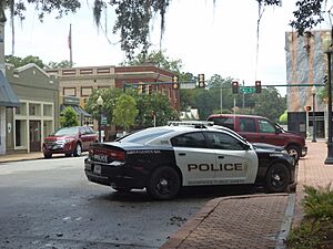 Bainbridge Police Car