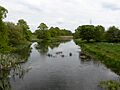 Barnes Meadow 9
