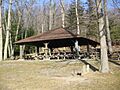 Black Moshannon SP Picnic Shelter 5