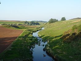 A narrow river weaving between green fields