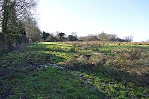 Blagrove Common 1