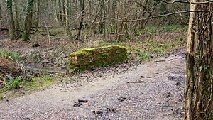 Bridge in Upper Ifold Wood - geograph.org.uk - 1133391