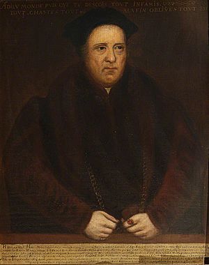 C16th portrait of Sir Rowland Hill