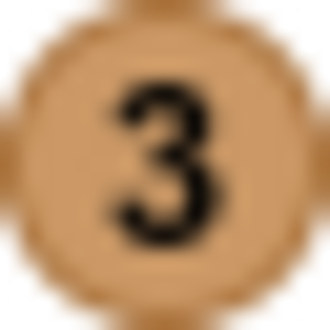 Bronze medal icon