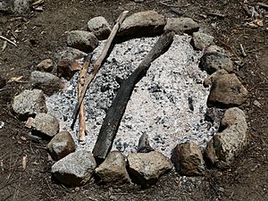 Campfire scar 08319