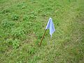 Capture the flag Fahne