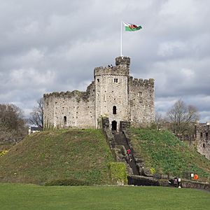 Cardiff Castle  Day Out With The Kids