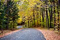 Chestnut Ridge Park Oct2010