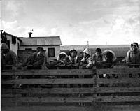 Children at reindeer roundup Nunivak 1964