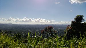 View from Collores, Las Piedras