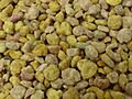 Corbiculette congelate